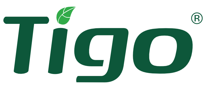 tigo