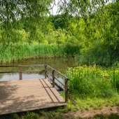 Hospodaření s vodou v Toulcově dvoře