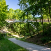 Obnova lesoparku Čertova rokle v Brně-Lesné