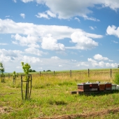 Zemědělství jinak a lépe