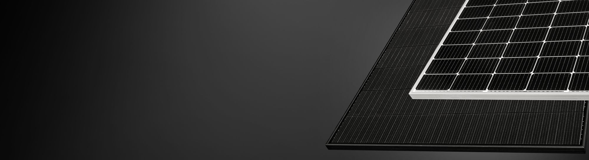 AEG portfolio
